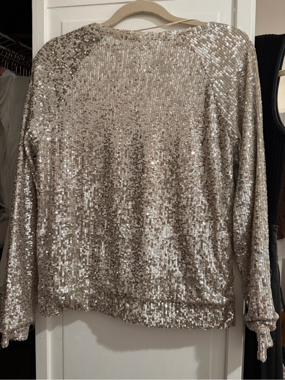 Cable & Gauge Champagne Silver Color Sequin Long-Sleeve Dress - Picture 4 of 4